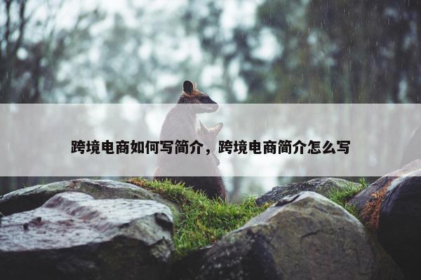 跨境电商如何写简介，跨境电商简介怎么写
