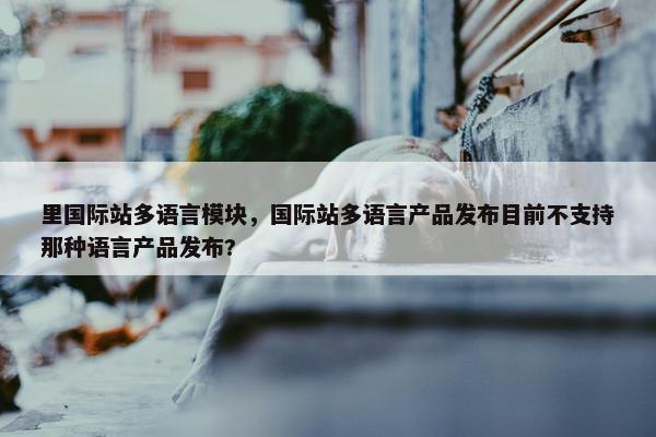 里国际站多语言模块，国际站多语言产品发布目前不支持那种语言产品发布?