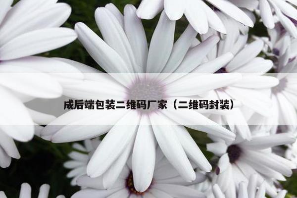 成后端包装二维码厂家（二维码封装）