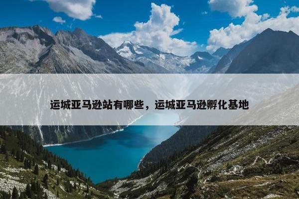 运城亚马逊站有哪些，运城亚马逊孵化基地