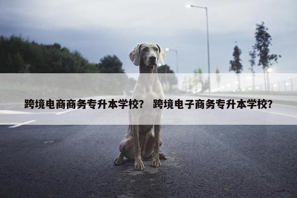 跨境电商商务专升本学校？ 跨境电子商务专升本学校？