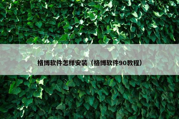 格博软件怎样安装（格博软件90教程）