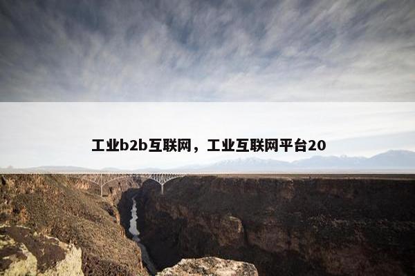 工业b2b互联网，工业互联网平台20