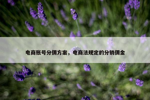 电商账号分佣方案，电商法规定的分销佣金