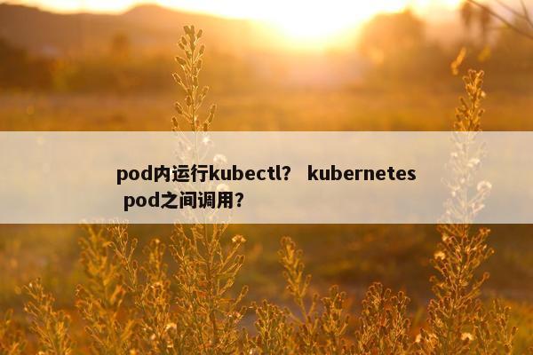 pod内运行kubectl？ kubernetes pod之间调用？