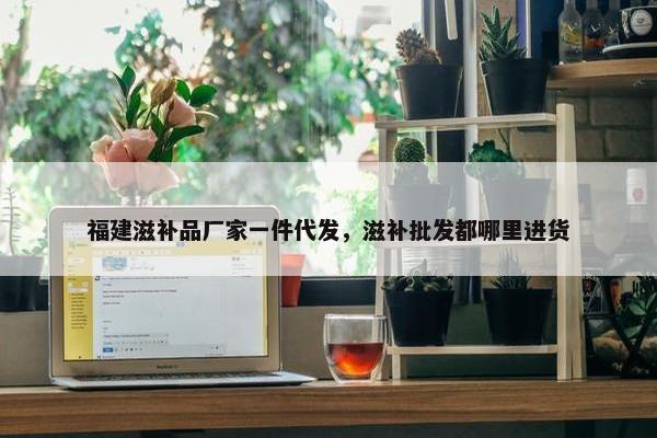 福建滋补品厂家一件代发，滋补批发都哪里进货
