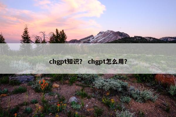 chgpt知识？ chgpt怎么用？
