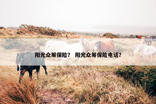 阳光众筹保险？ 阳光众筹保险电话？