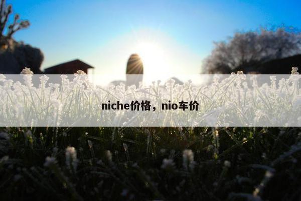 niche价格，nio车价