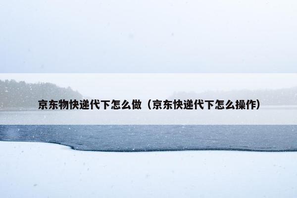 京东物快递代下怎么做（京东快递代下怎么操作）