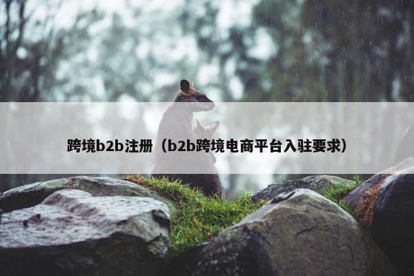 跨境b2b注册（b2b跨境电商平台入驻要求）