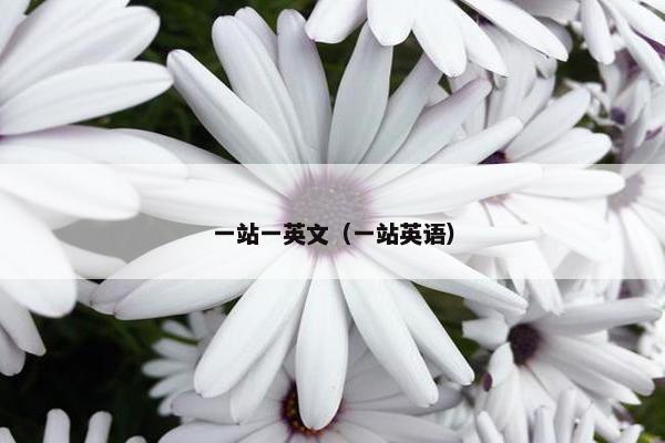 一站一英文（一站英语）