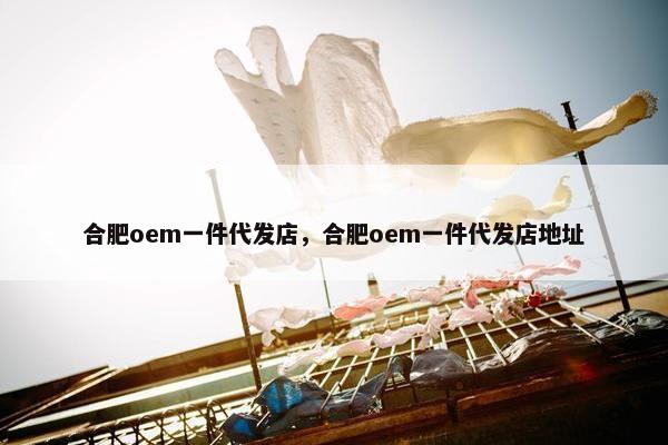 合肥oem一件代发店，合肥oem一件代发店地址