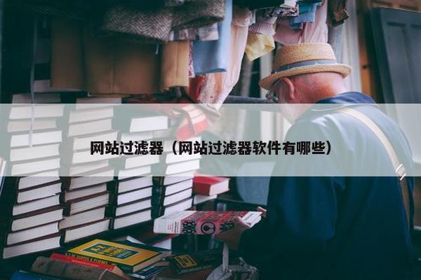 网站过滤器（网站过滤器软件有哪些）