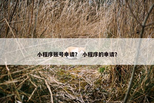 小程序账号申请？ 小程序的申请？