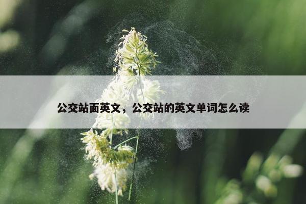 公交站面英文，公交站的英文单词怎么读
