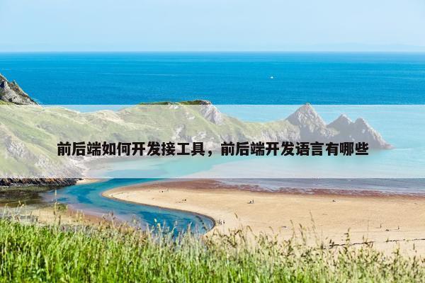 前后端如何开发接工具，前后端开发语言有哪些