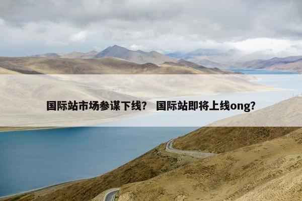 国际站市场参谋下线？ 国际站即将上线ong？