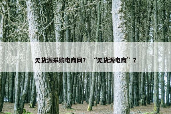 无货源采购电商网？ “无货源电商”？