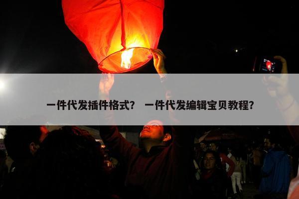 一件代发插件格式？ 一件代发编辑宝贝教程？