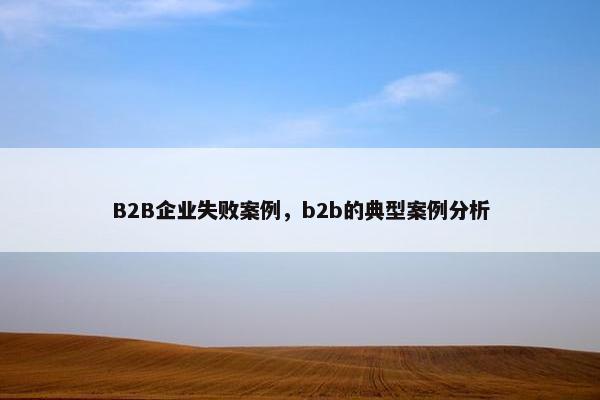 B2B企业失败案例，b2b的典型案例分析