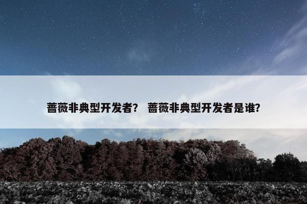 蔷薇非典型开发者？ 蔷薇非典型开发者是谁？