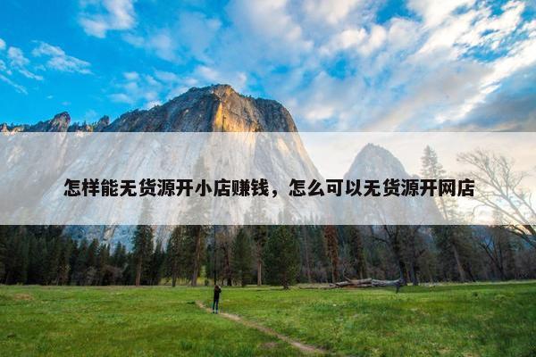 怎样能无货源开小店赚钱，怎么可以无货源开网店