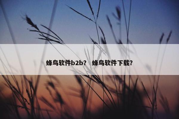 蜂鸟软件b2b？ 蜂鸟软件下载？