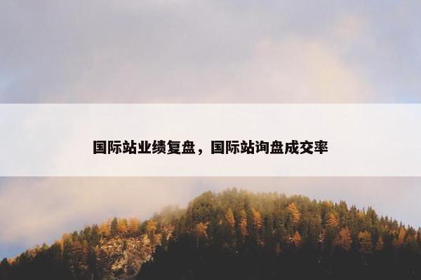 国际站业绩复盘，国际站询盘成交率