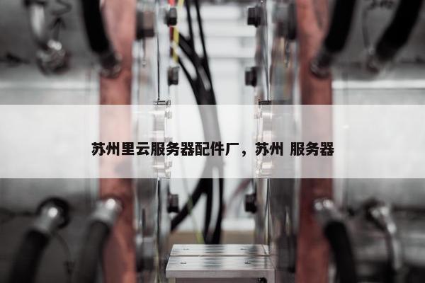 苏州里云服务器配件厂，苏州 服务器
