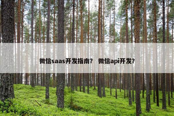 微信saas开发指南？ 微信api开发？