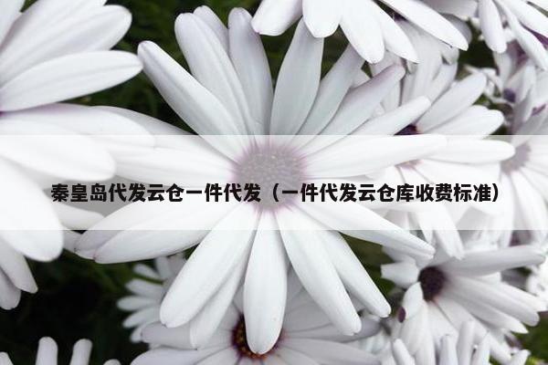秦皇岛代发云仓一件代发（一件代发云仓库收费标准）