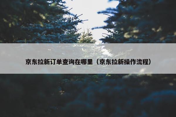 京东拉新订单查询在哪里（京东拉新操作流程）