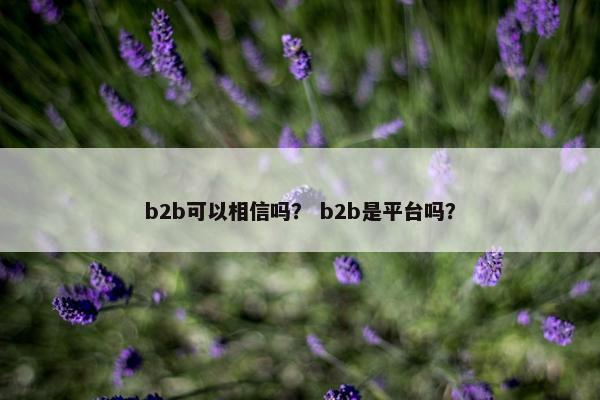 b2b可以相信吗？ b2b是平台吗？