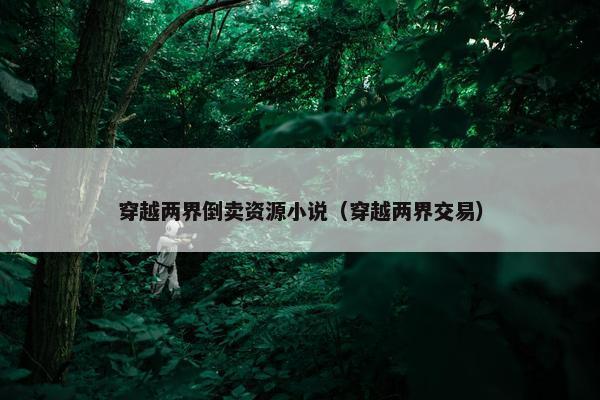 穿越两界倒卖资源小说（穿越两界交易）