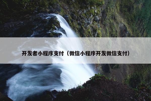 开发者小程序支付（微信小程序开发微信支付）