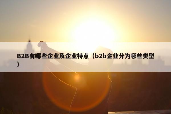 B2B有哪些企业及企业特点（b2b企业分为哪些类型）