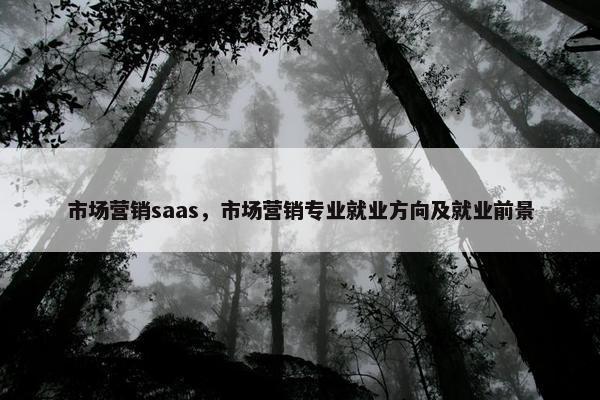 市场营销saas，市场营销专业就业方向及就业前景