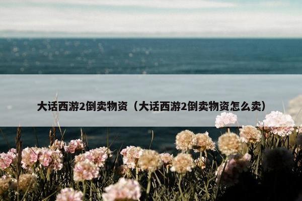 大话西游2倒卖物资（大话西游2倒卖物资怎么卖）