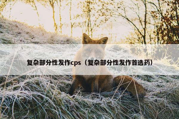 复杂部分性发作cps（复杂部分性发作首选药）