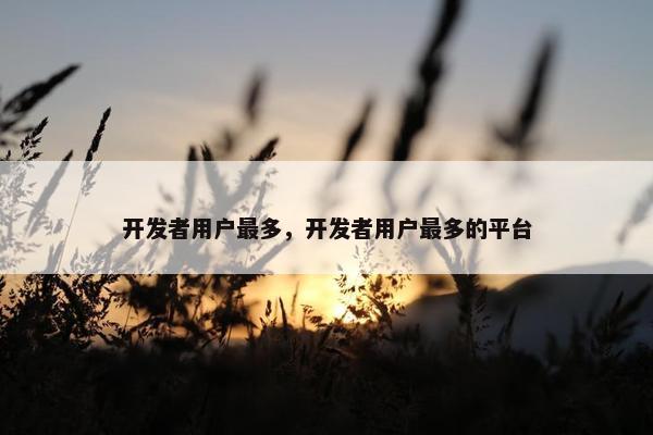 开发者用户最多，开发者用户最多的平台