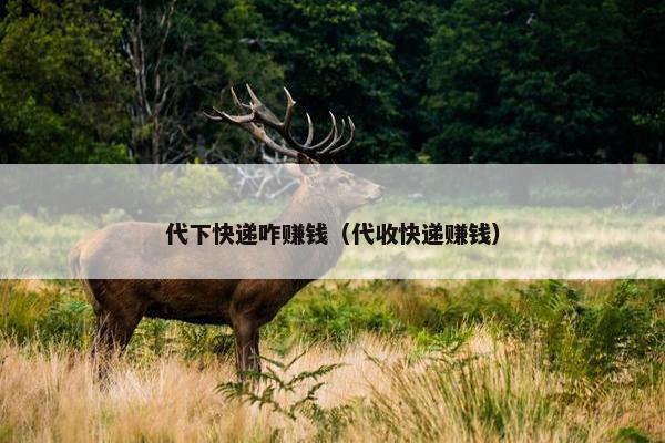 代下快递咋赚钱（代收快递赚钱）