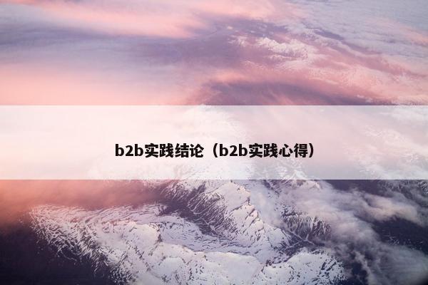 b2b实践结论（b2b实践心得）
