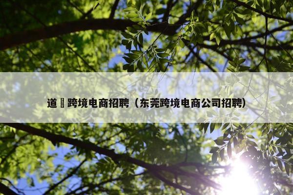 道滘跨境电商招聘（东莞跨境电商公司招聘）