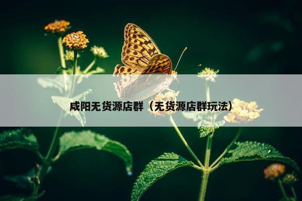 咸阳无货源店群（无货源店群玩法）