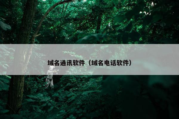 域名通讯软件（域名电话软件）