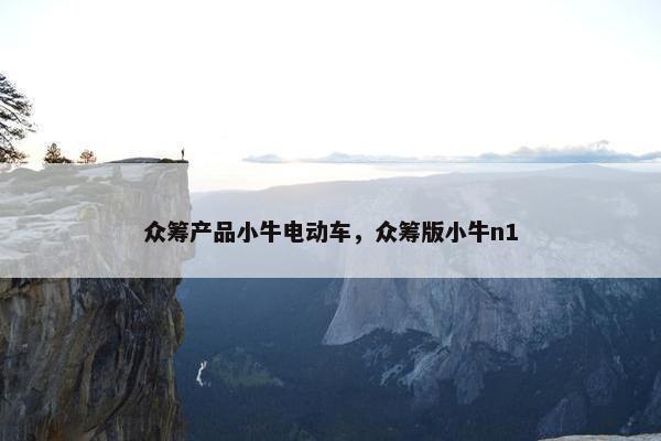 众筹产品小牛电动车，众筹版小牛n1