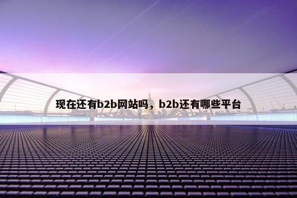 现在还有b2b网站吗，b2b还有哪些平台