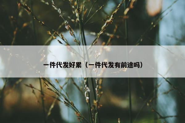 一件代发好累（一件代发有前途吗）