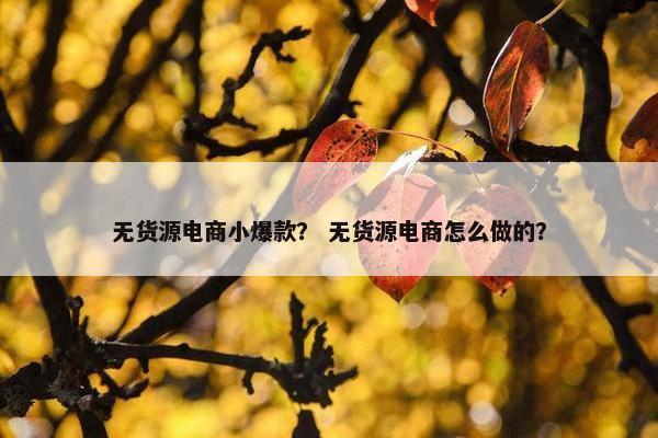 无货源电商小爆款？ 无货源电商怎么做的？